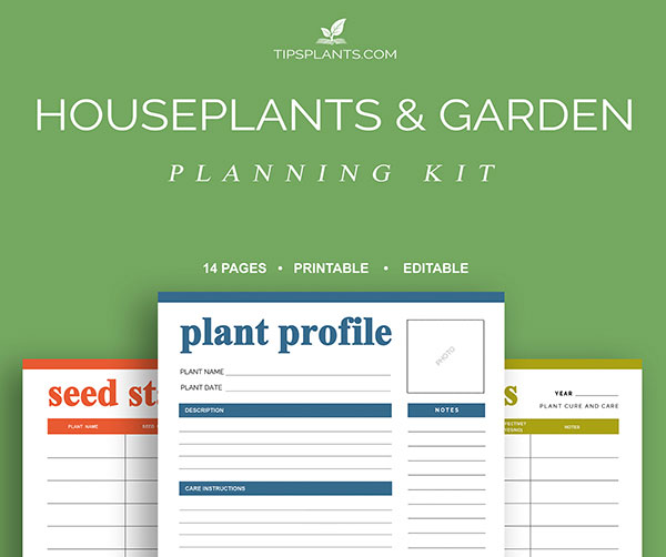 HOUSEPLANTS & GARDEN PLANNING KIT