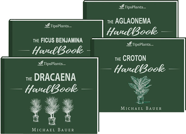 Handbooks