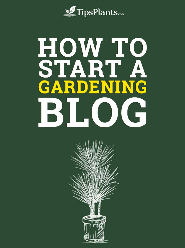 How to Start a Gardening Blog - Tipsplants