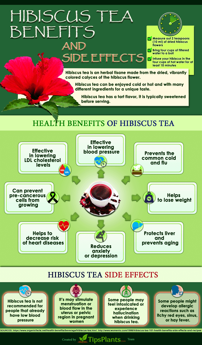 Infographic_BenefitsHibiscusTeas_660.png